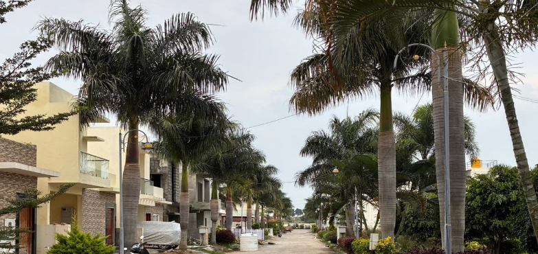 La Ville Township Premium Locality